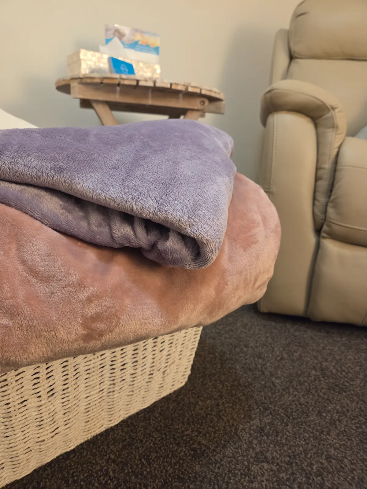 A calming plant and reed diffuser in the Minto therapy room — preparing for garden path — how to prepare for your first session