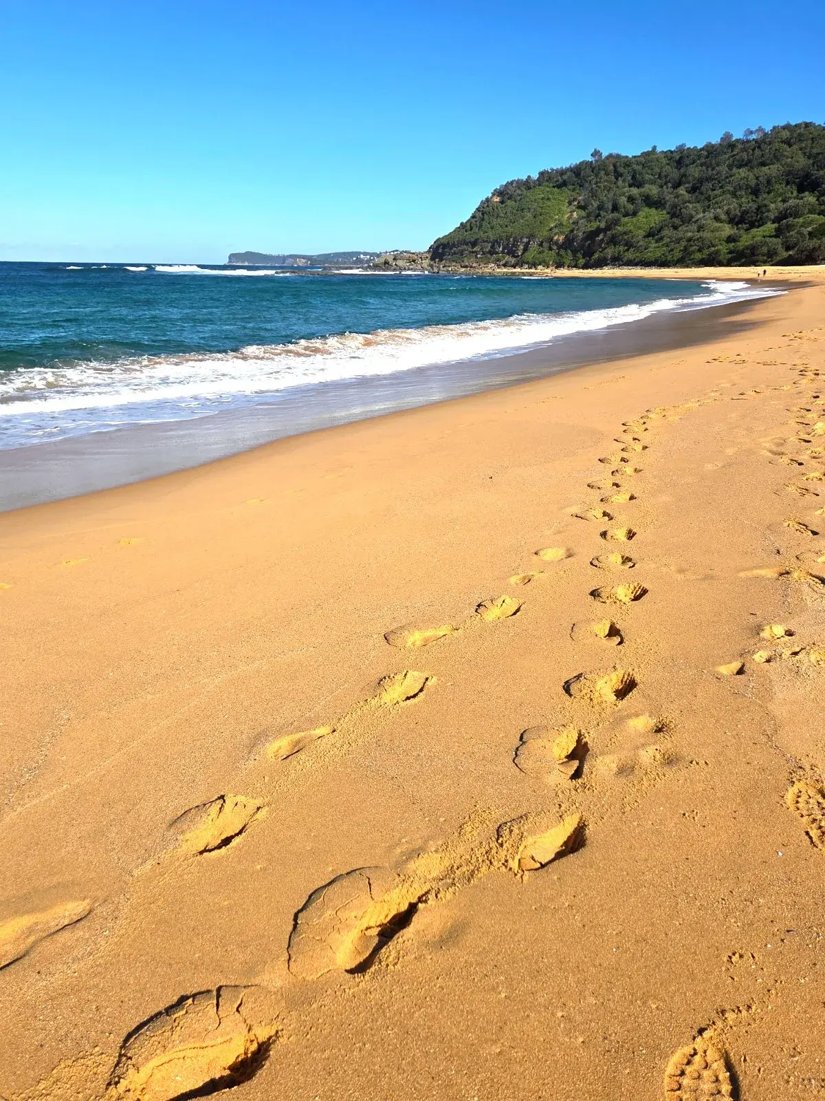 Footprints leading along the sand at the water's edge on a Central Coast beach
